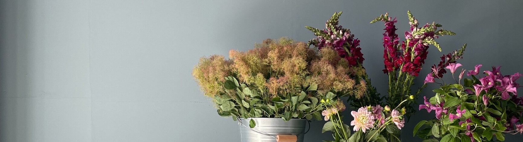 kategorie header wandfarben